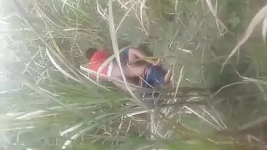 Bihari Outdoor Sex Mms Video Captured By A Voyeur