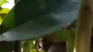 Desi randi village outdoor sex in plantation field
