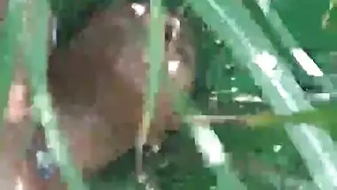 Village Randi Bhabi Fucking In Jungle
